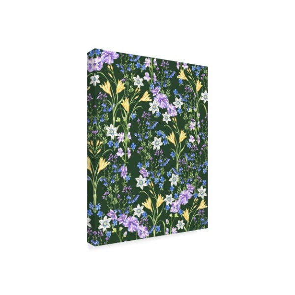 Lisa Powell Braun 'Delphinium And Wildflowers' Canvas Art,18x24